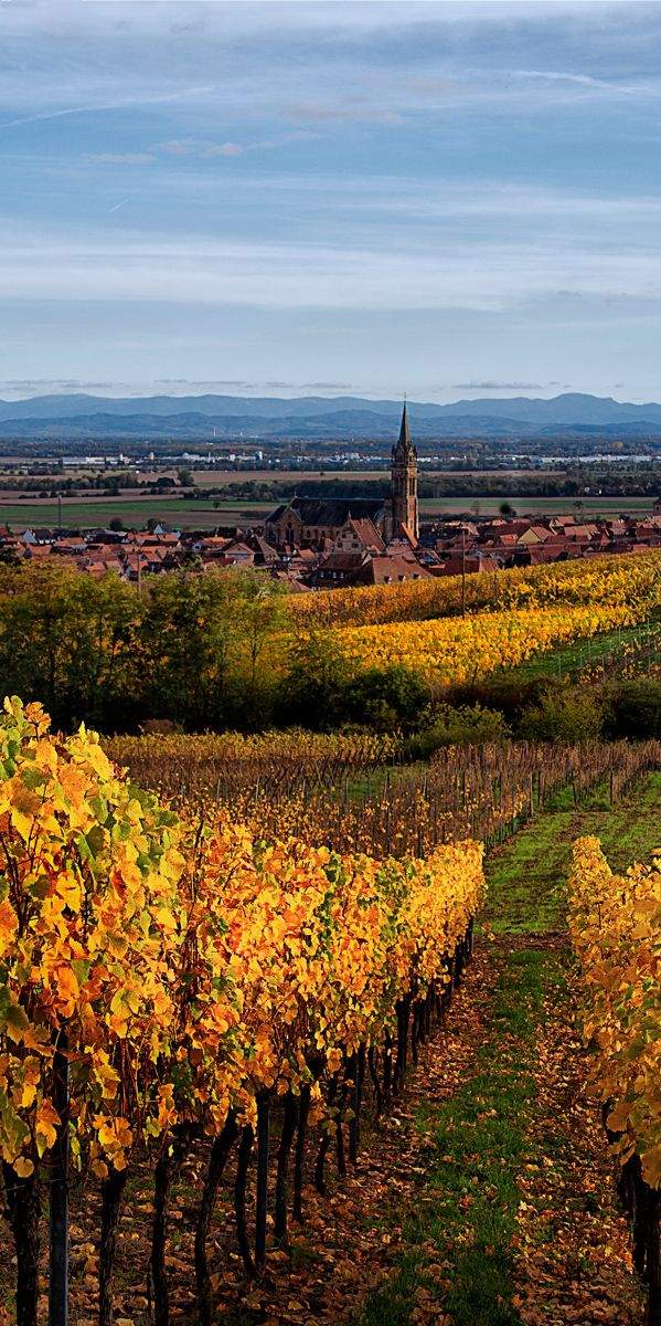 hotel sur la route des vins d'alsace, eiguisheim, près de colmar